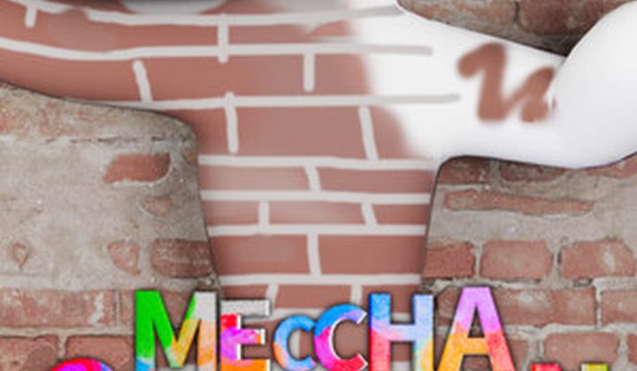 Meccha Chameleon